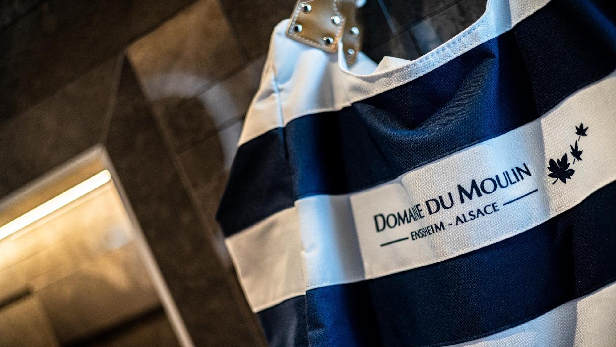 Hotel Spa Restaurant Domaine Du Moulin Ensisheim Εξωτερικό φωτογραφία